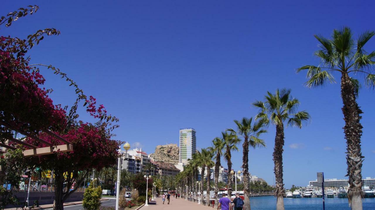Big Apartment With Unique Patio Near Santa Barbara Castle Alicante Exterior foto
